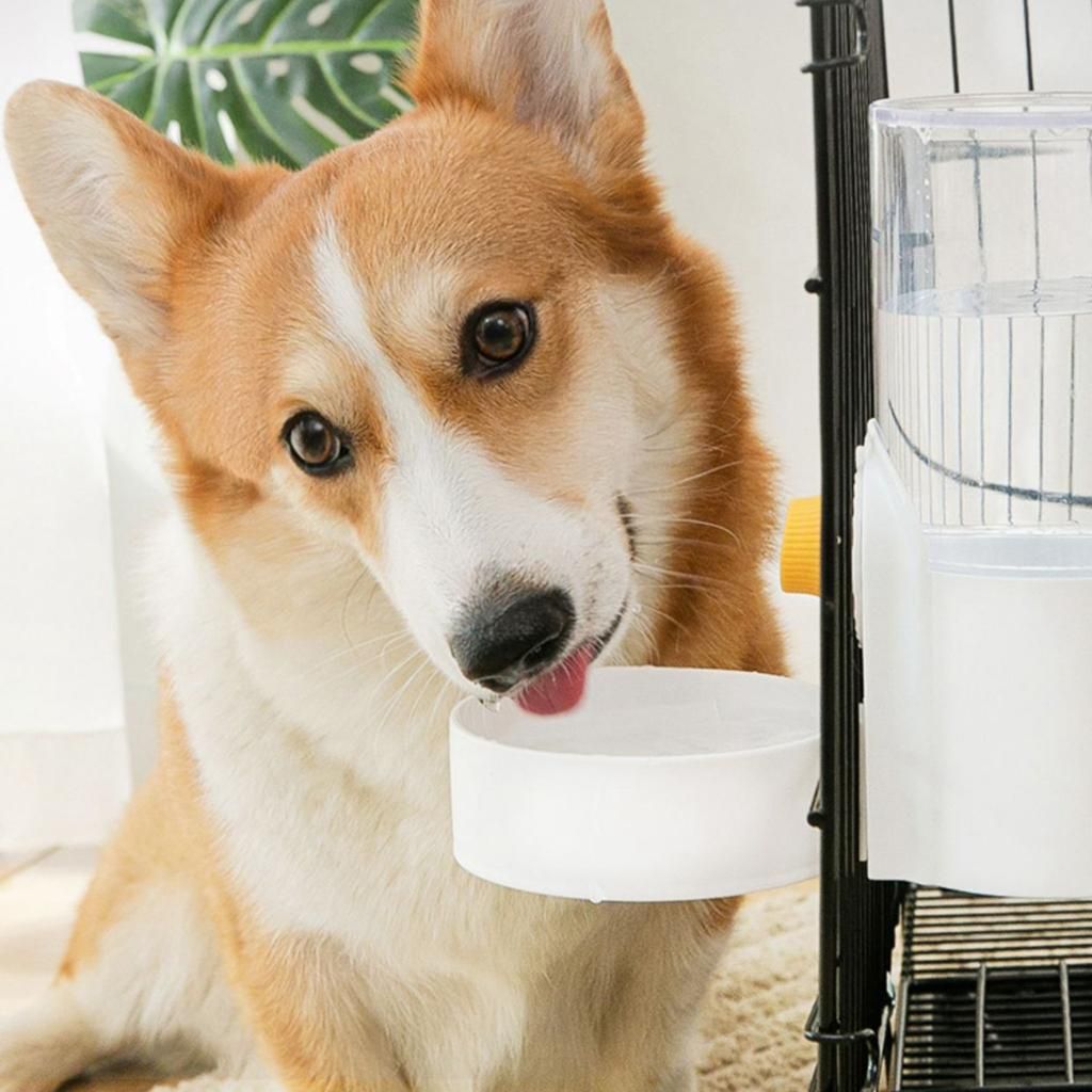 Cage Hanging Automatic Food Water Dispenser Gravity Auto Feeder Green