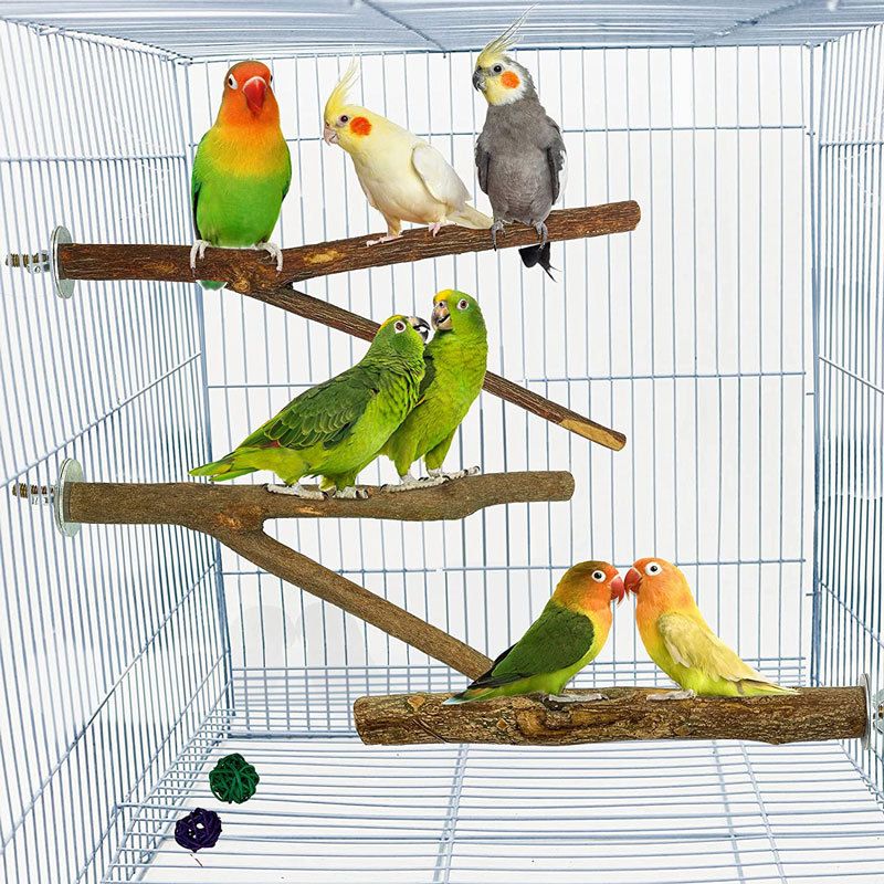 Bird Perch Wooden Bird Toy Stand Stick Stand Stick Bird