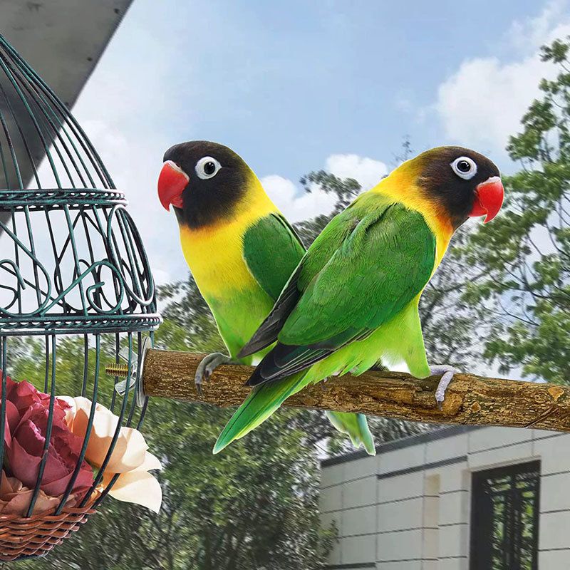 Bird Perch Wooden Bird Toy Stand Stick Stand Stick Bird