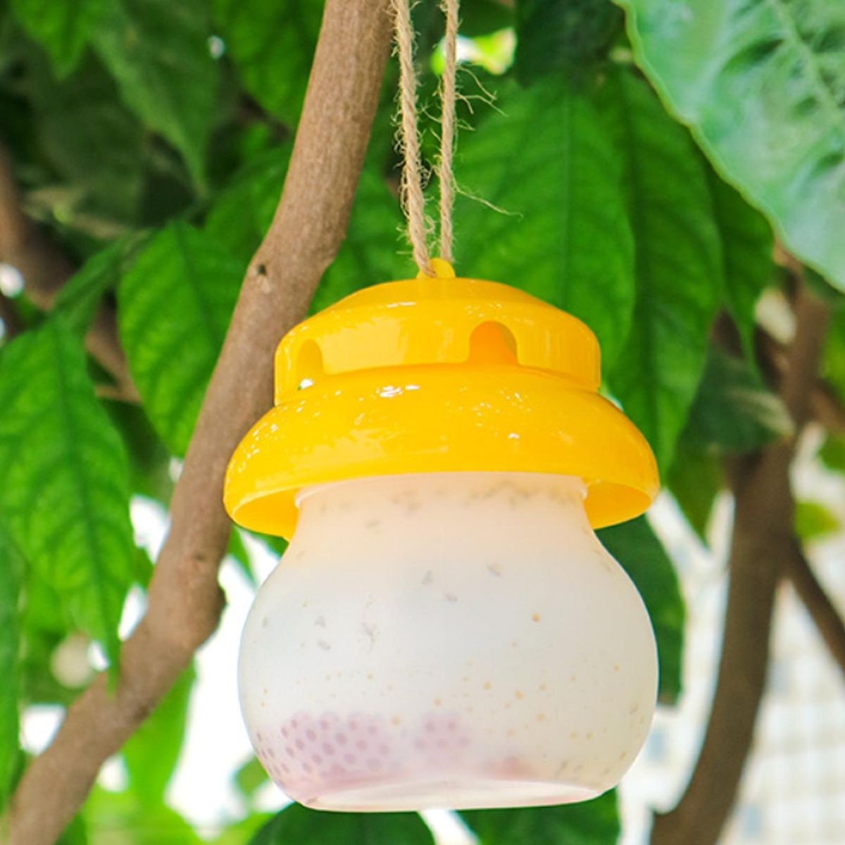 Vibrant Catcher Unique Design Chemical-free Moisture-proof for Bees