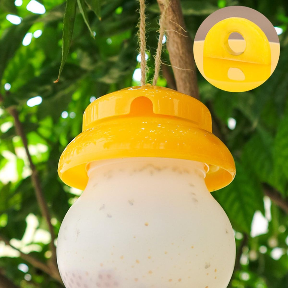 Vibrant Catcher Unique Design Chemical-free Moisture-proof for Bees