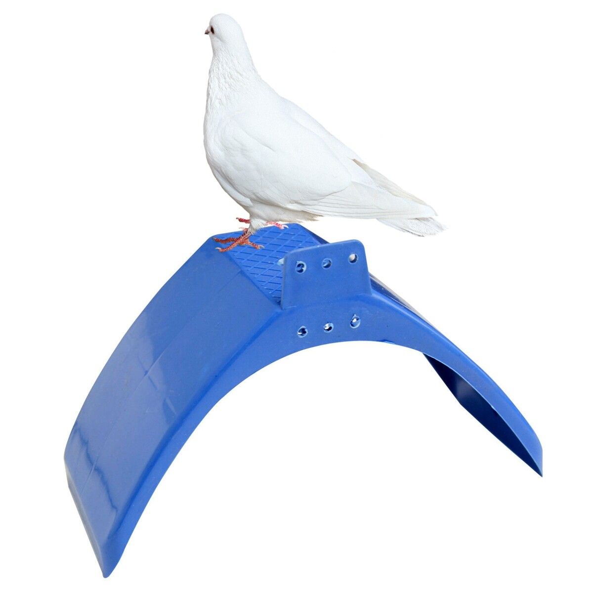 10Pcs Dove Rest Stands Frame Grill Dwelling Pigeon Perches Roost Birds Supplies