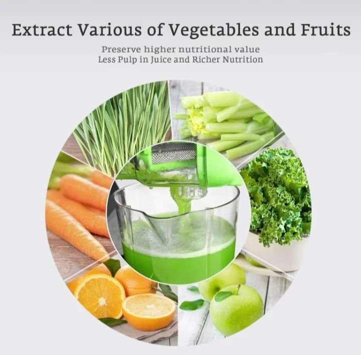 Cold Press Slow Masticating Juicer - 150W