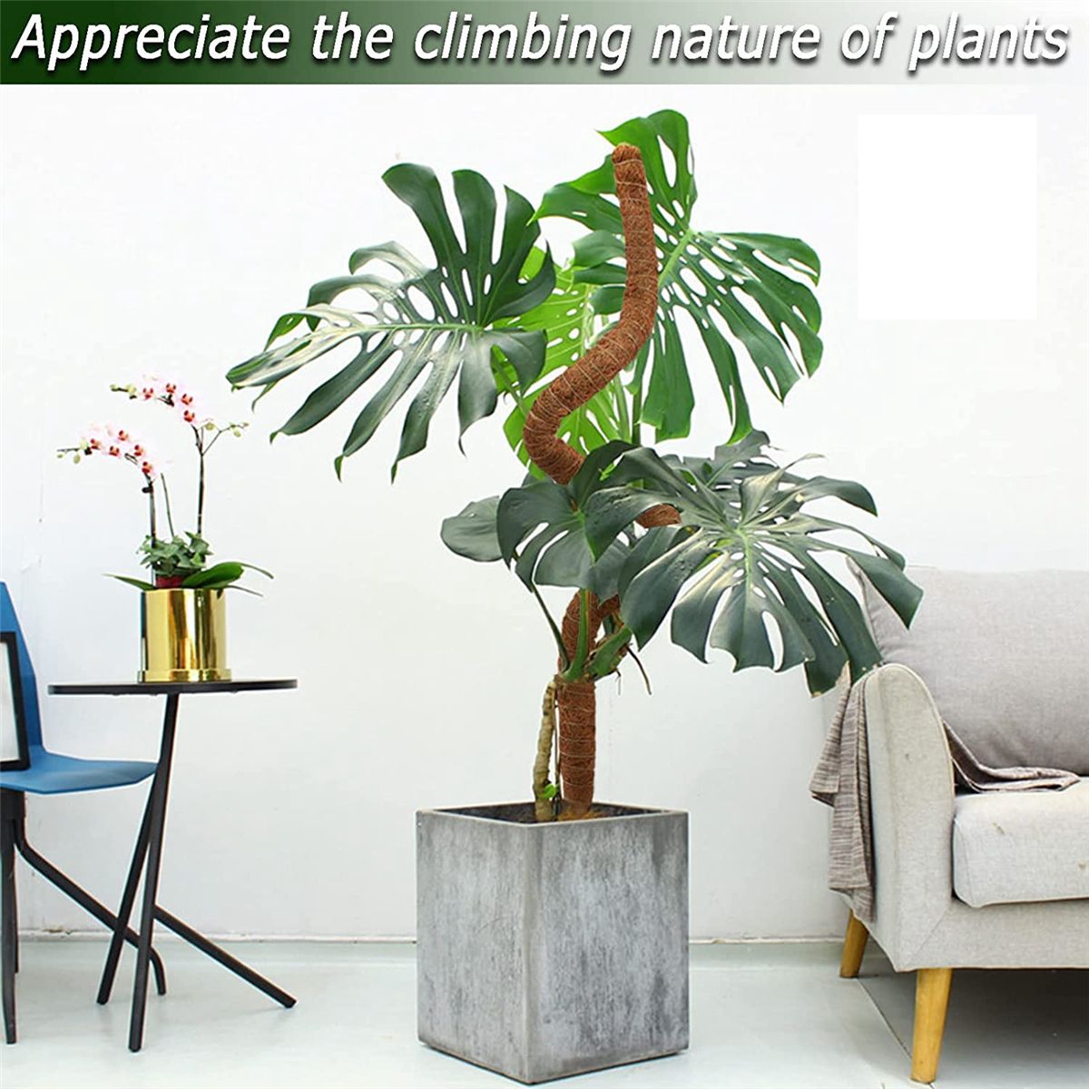Bendable  Pole for Plants Monstera Climbing Plants Indoor