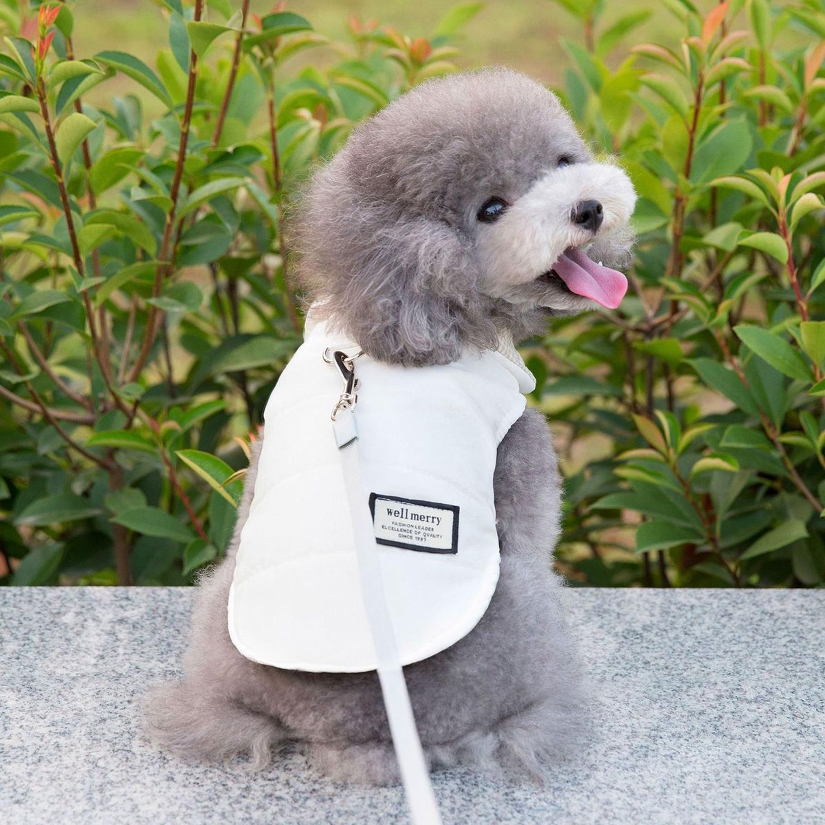 Kitten Jacket Single Breasted Checkered Pet Vest Beige
