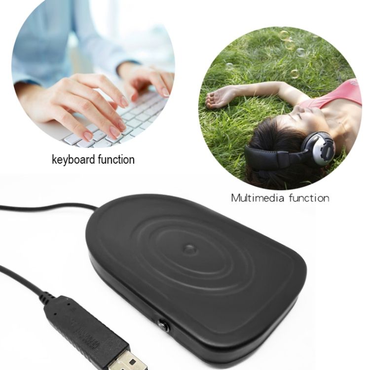 Pcsensor USB Foot Pedal Control Switch, Model:FS2016