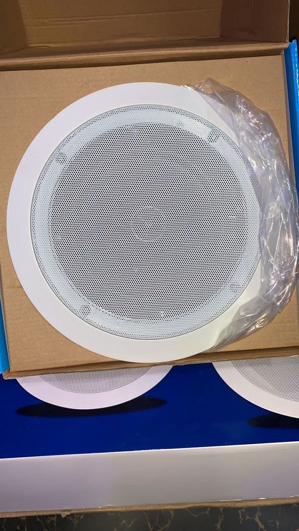 Ceiling Speaker - 30Watts