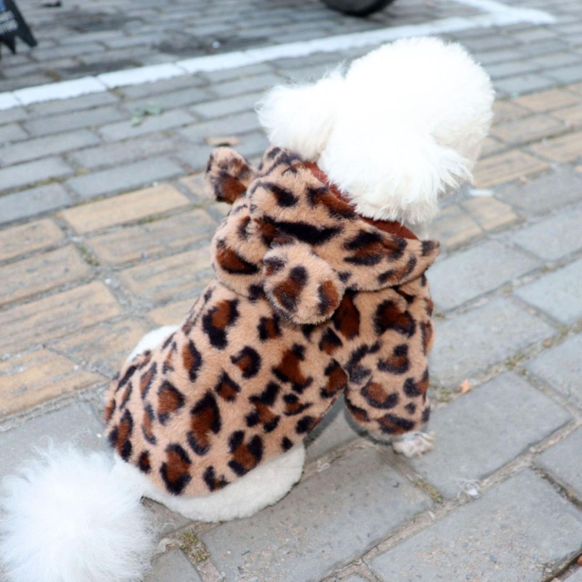Dog Hoodie Puppy Two-legged Hoodie Thermal Coat Coffee