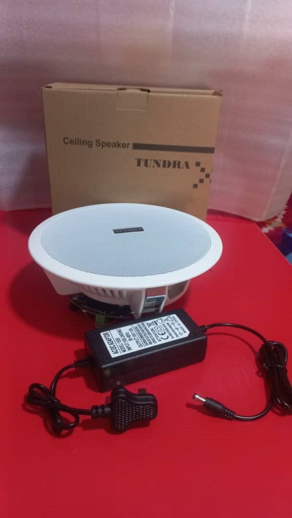 Ceiling Speaker - 20Watts