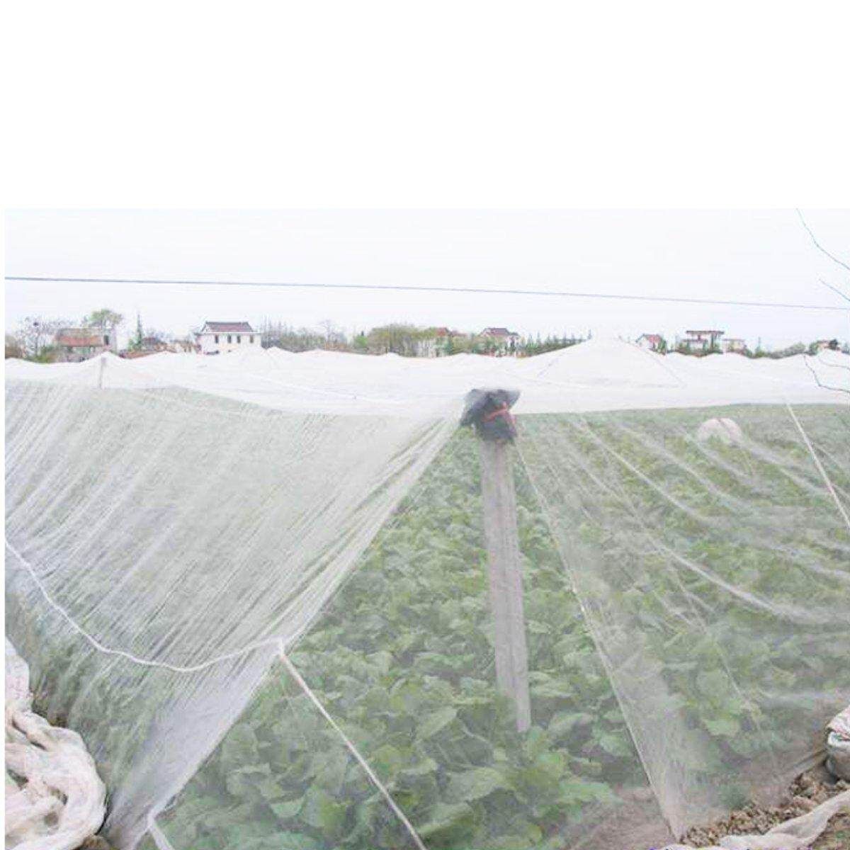 US 10x10Ft Mosquito Garden Bug Insect Netting Barrier Bird Hunting Fabric Net