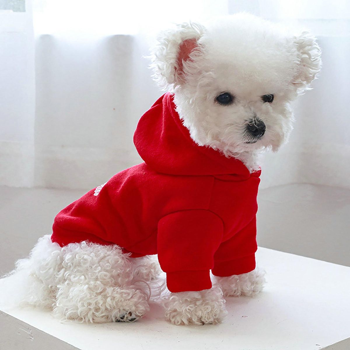 Dog Sweatshirt Winter Dogs Cats Hooded Sweatshirt Two-legged Clothes Red