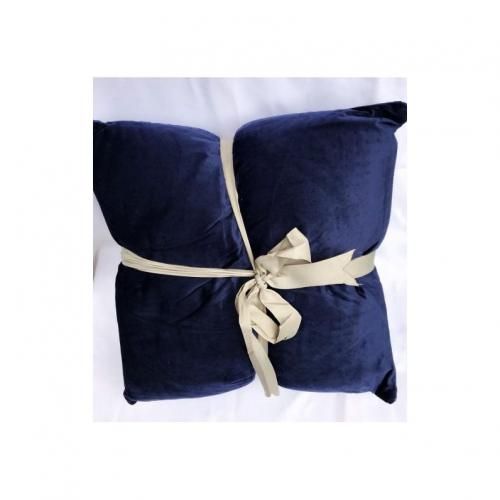 2 Pack Embossed Velvet Cushions
