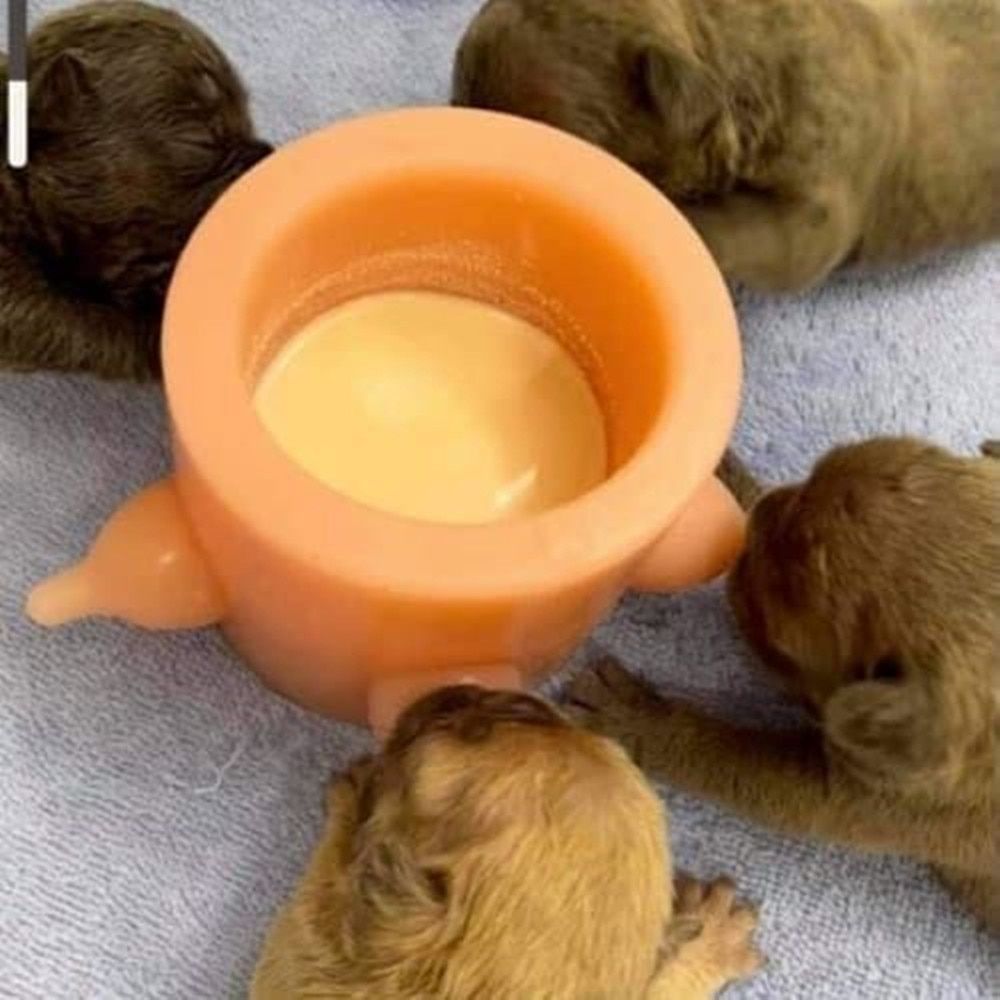 Bubble Milk Bowl Multi 5 Silicone Kitten Puppy  Feeder Station Born Dog Cat Nursing Feeding Bottle