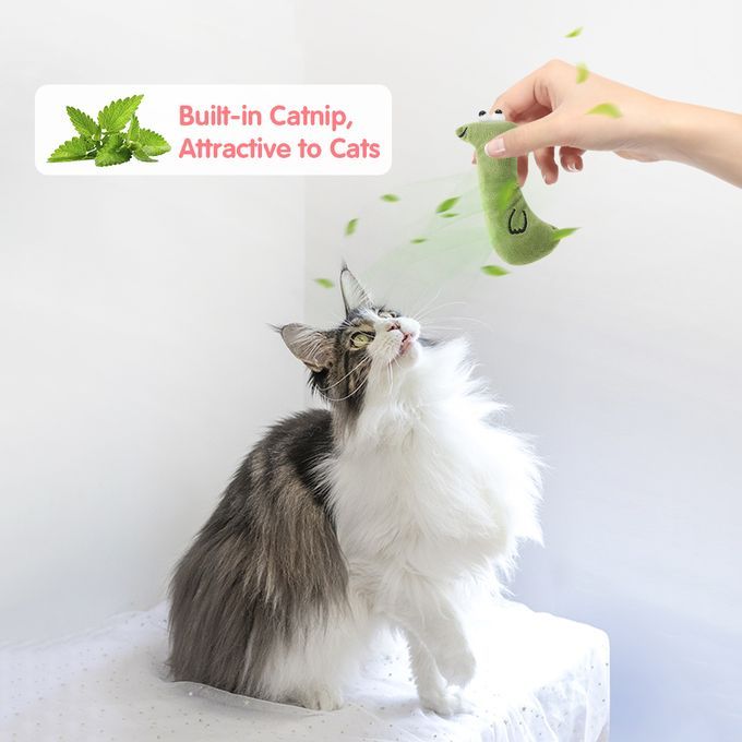 Catnip Plush Toy Interactive Catnip Toys For Indoor Cats