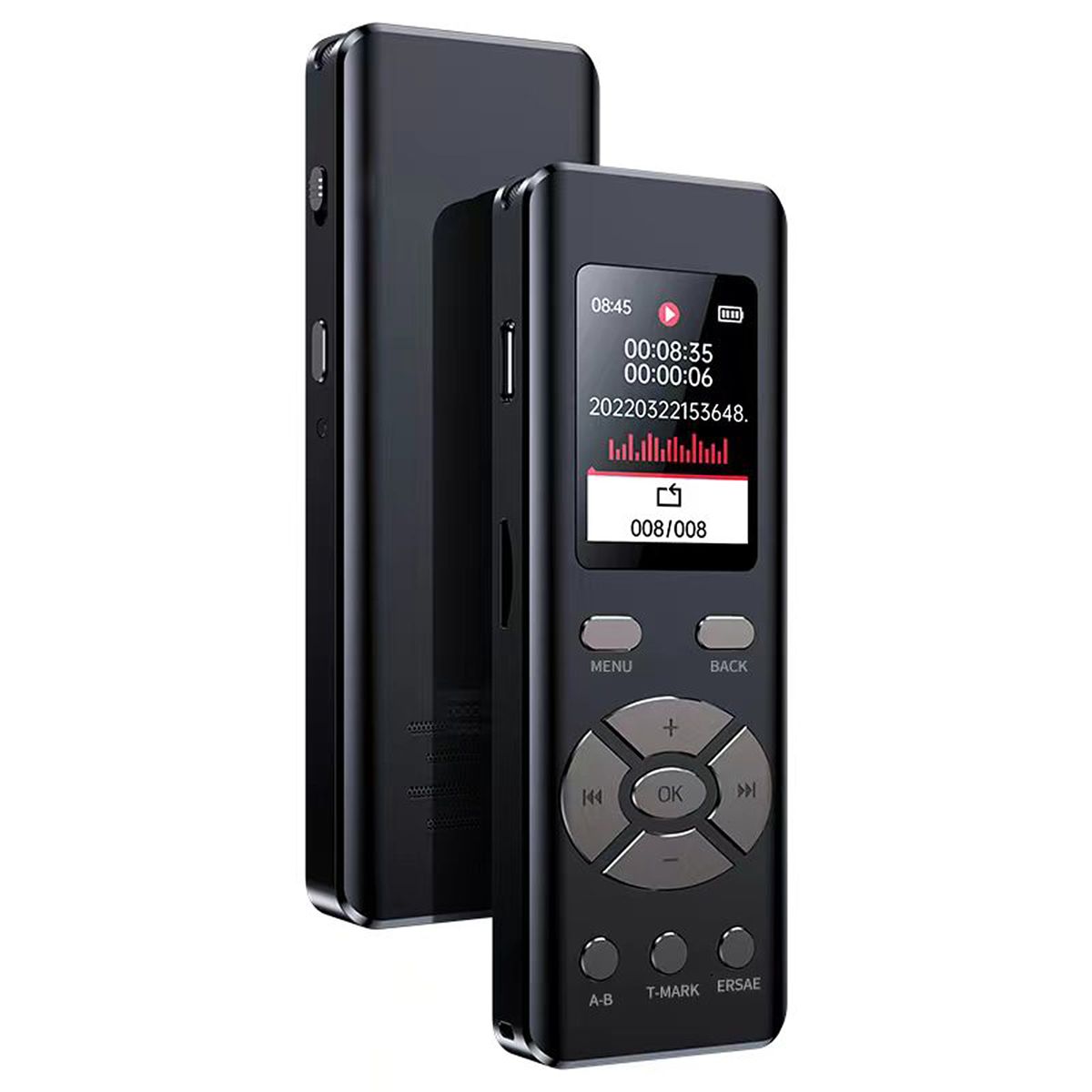 Intelligent Noise Reduction Voice Recorder With Microphone