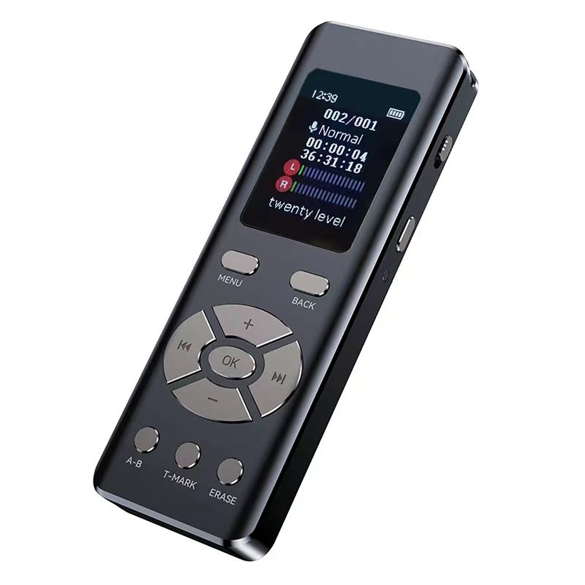 Intelligent Noise Reduction Voice Recorder With Microphone
