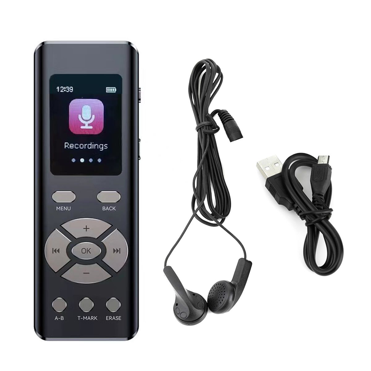 Intelligent Noise Reduction Voice Recorder With Microphone
