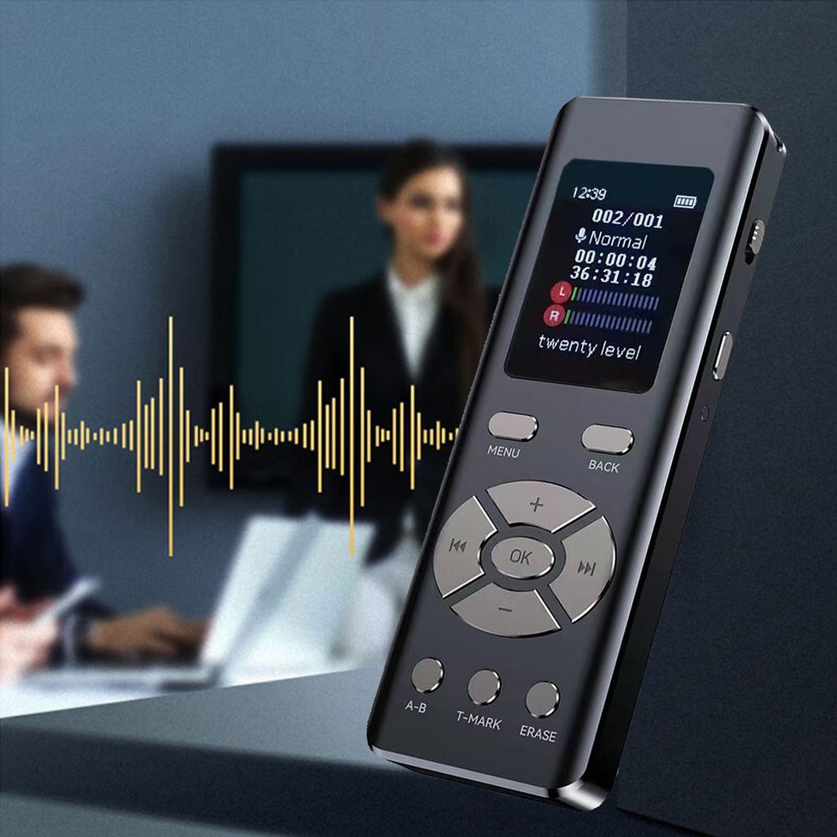 Intelligent Noise Reduction Voice Recorder With Microphone