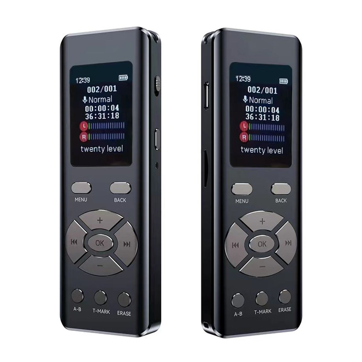 Intelligent Noise Reduction Voice Recorder With Microphone