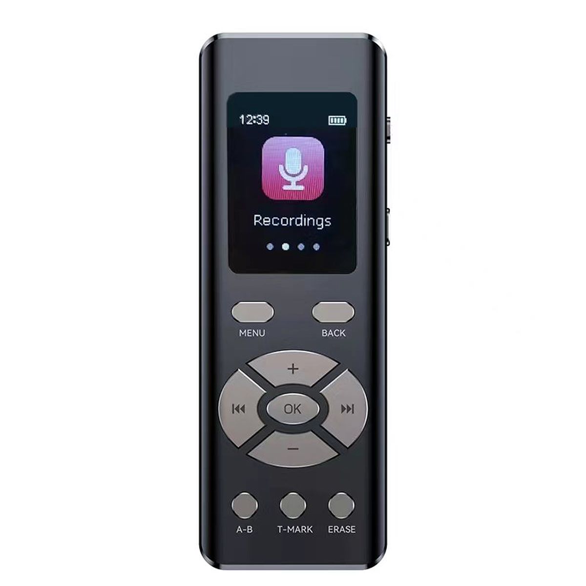 Intelligent Noise Reduction Voice Recorder With Microphone
