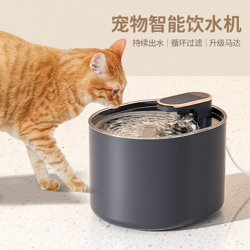 Cat Water Dispenser Automatically Feeds Water Flowing Pet