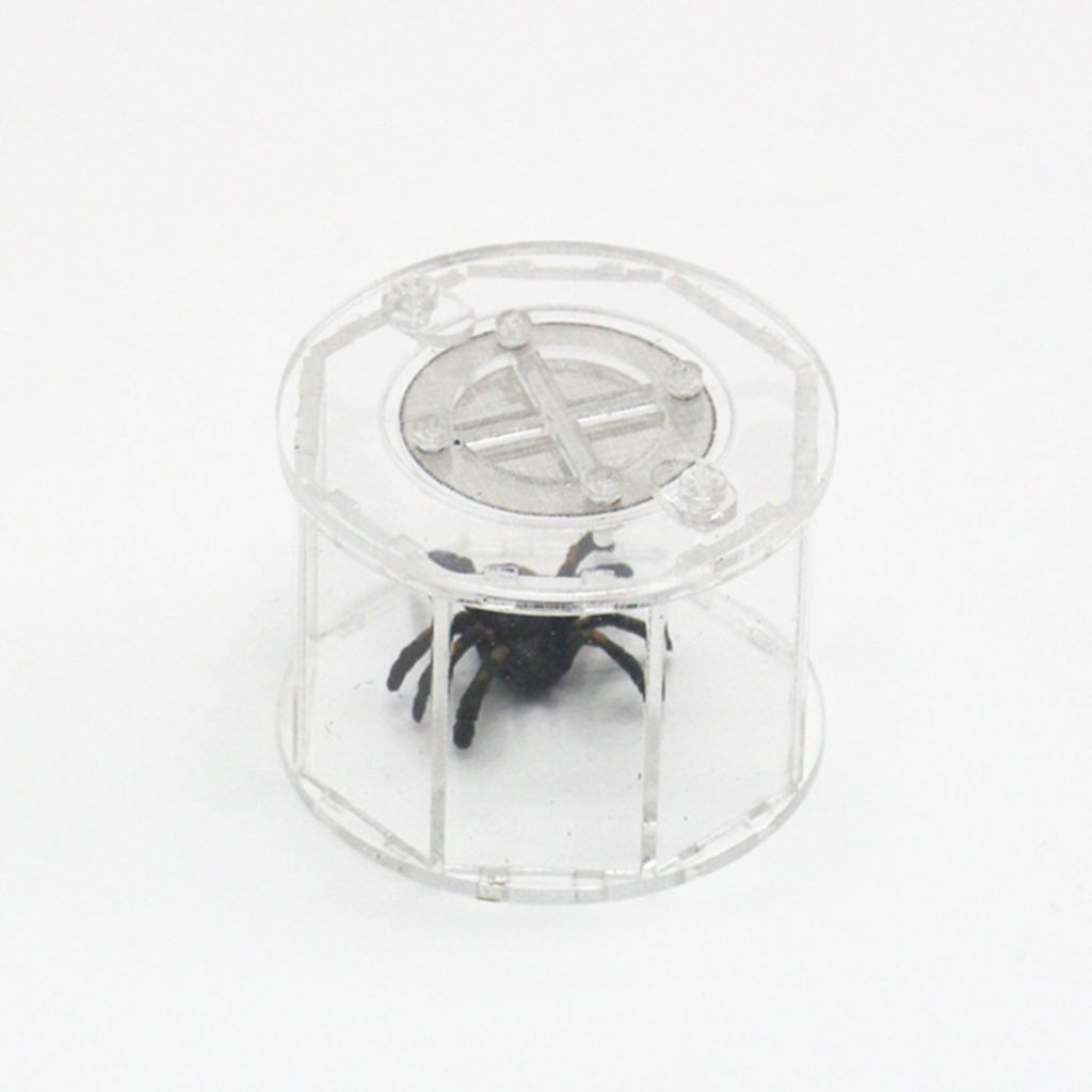 Insects Cage Storage Box Terrarium Rearing Grasshopper Outdoor