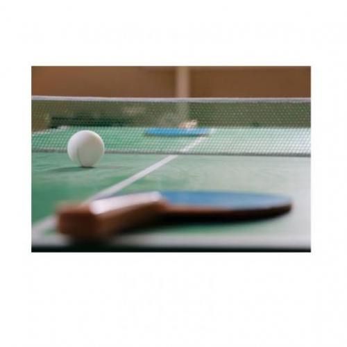 Quality Table Tennis Ball- 6 Pcs