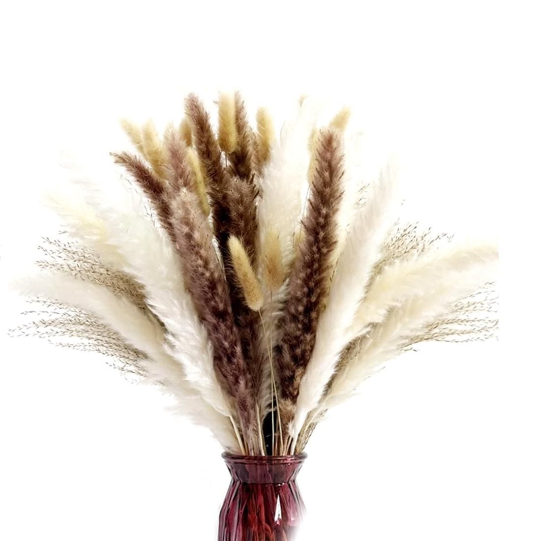 Natural Dried Pampas Grass, 65Pcs Pampas Grass Decor, for