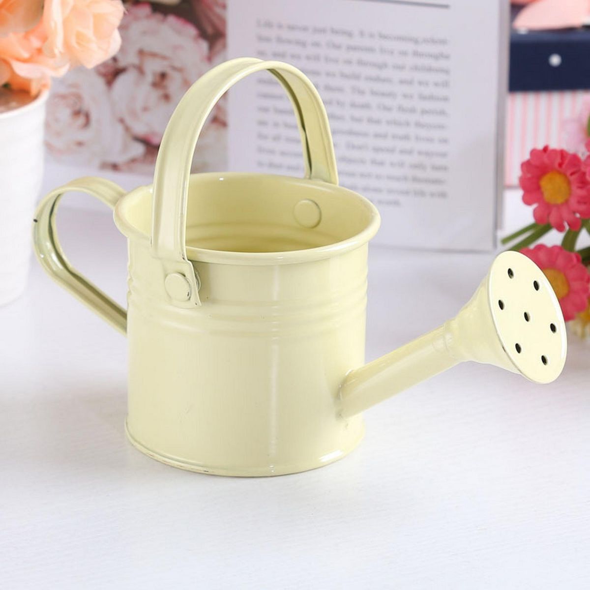 Handle Kettle Flower Planting Pot Watering Can Beige