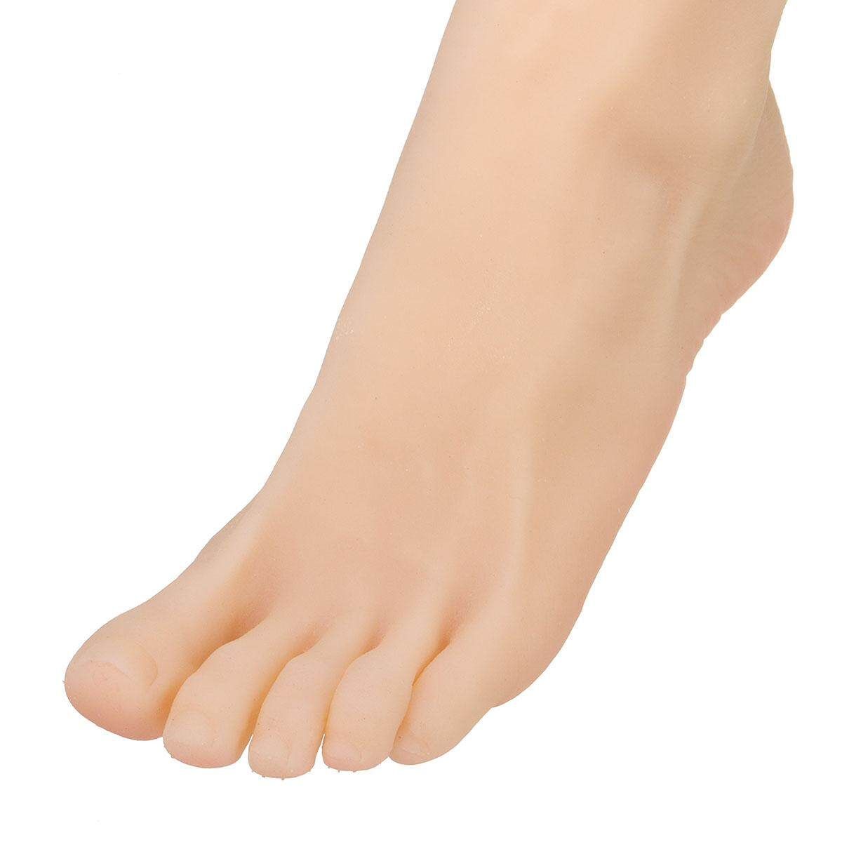 ?Lifelike Silicone Female Legs Feet Mannequin Shoes Socks Display Model Size 36 Left (left)