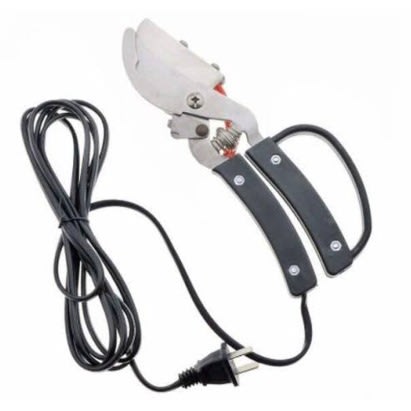 Electric Hand Debeaker