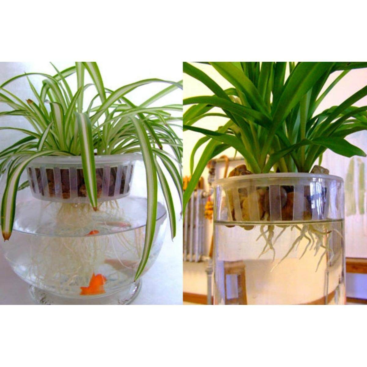 Plastic Mesh Pot Net Cloning Basket Hydroponic Aquarium Insert Plants Growth # 16