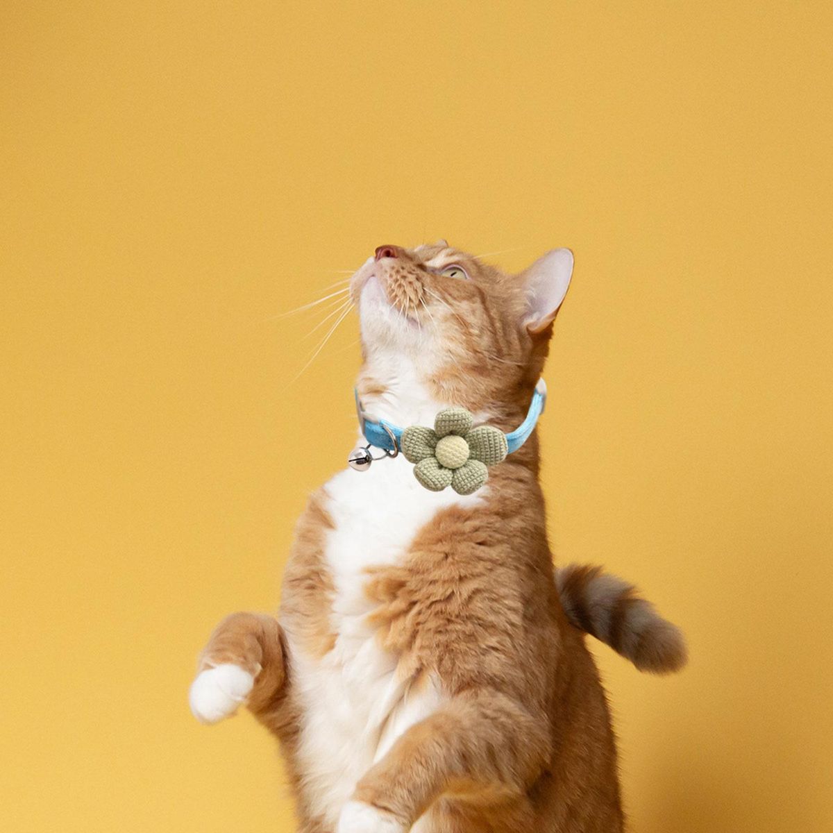 Cat Collar Necklace With Bell Lightweight Charm For Small