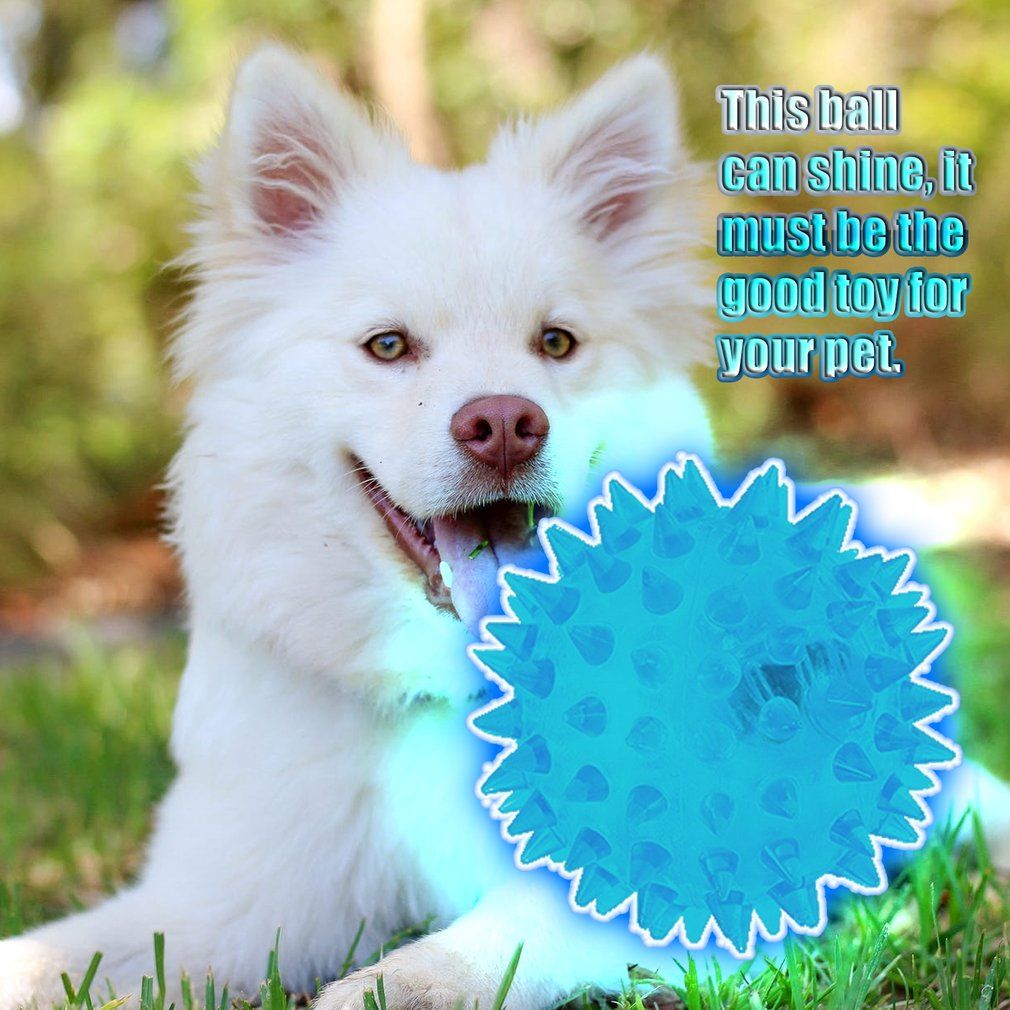 Dog Puppy Cat Pet Hedgehog Ball Rubber Bell Sound Ball Fun Playing Toy