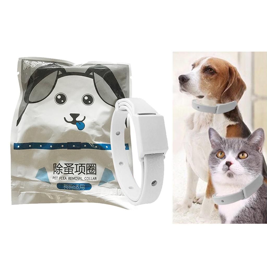 Flea & Tick Prevention Collar Protection Cat Dog From Ticks, Fleas And
