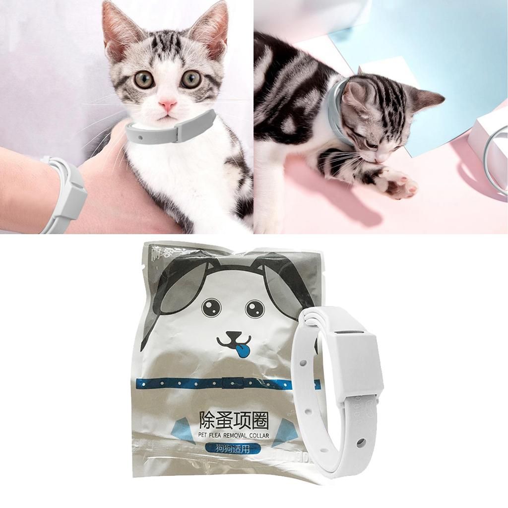Flea & Tick Prevention Collar Protection Cat Dog From Ticks, Fleas And