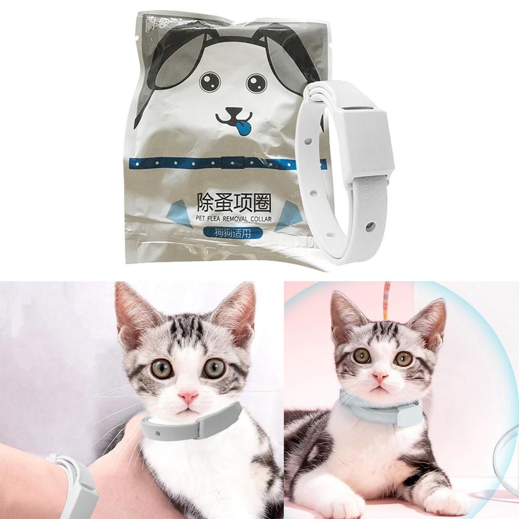 Flea & Tick Prevention Collar Protection Cat Dog From Ticks, Fleas And