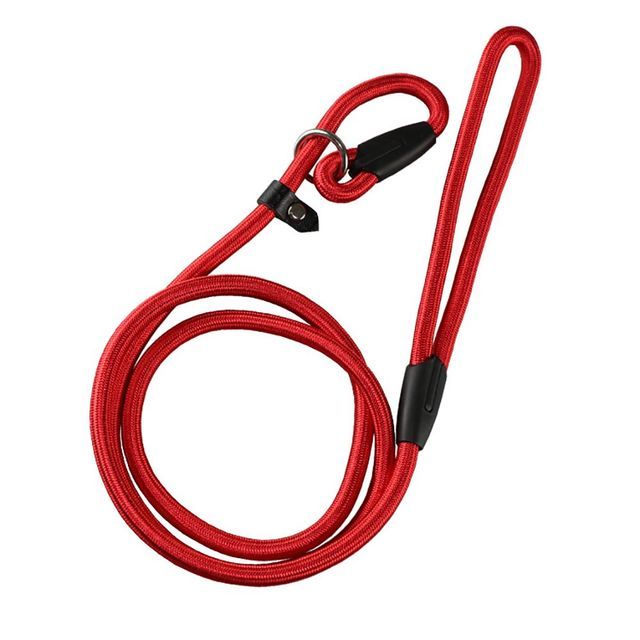 Nylon Pet Chain Leash Collar