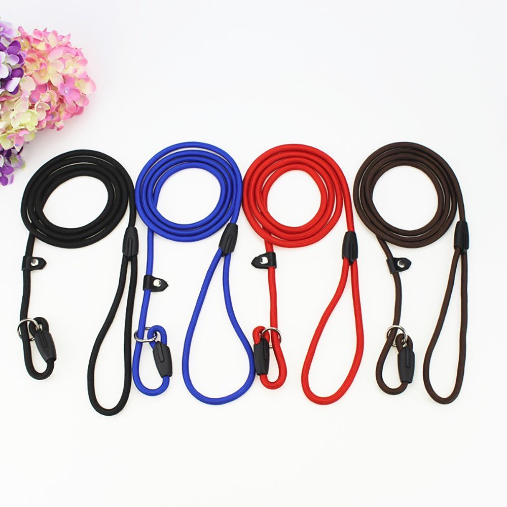Nylon Pet Chain Leash Collar