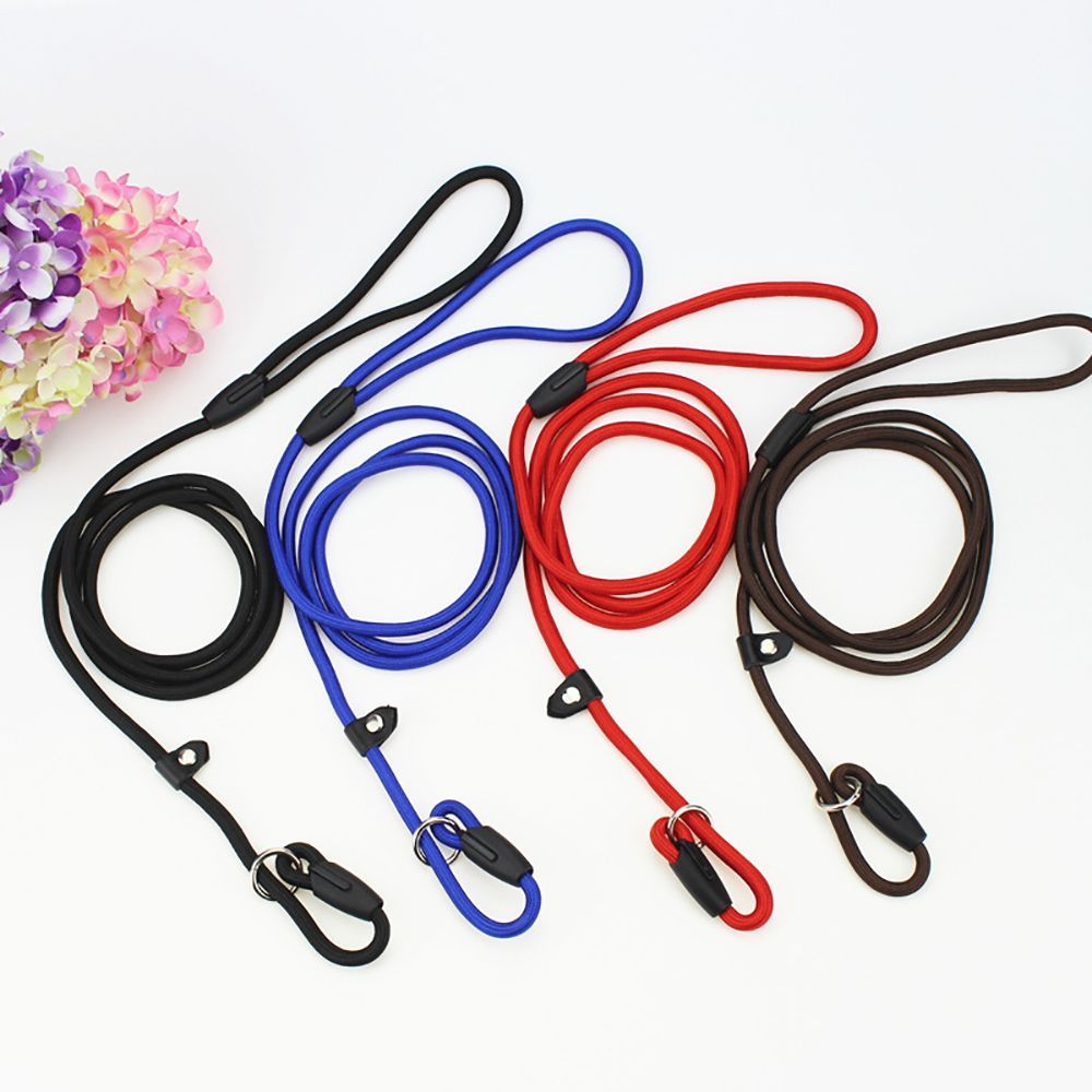Nylon Pet Chain Leash Collar