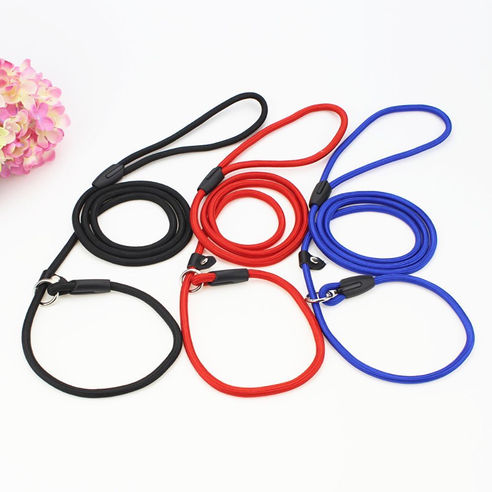 Nylon Pet Chain Leash Collar