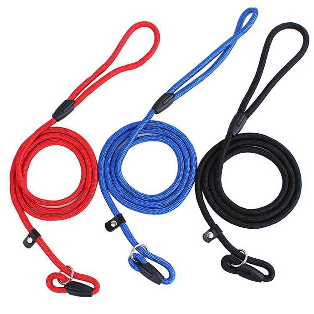 Nylon Pet Chain Leash Collar