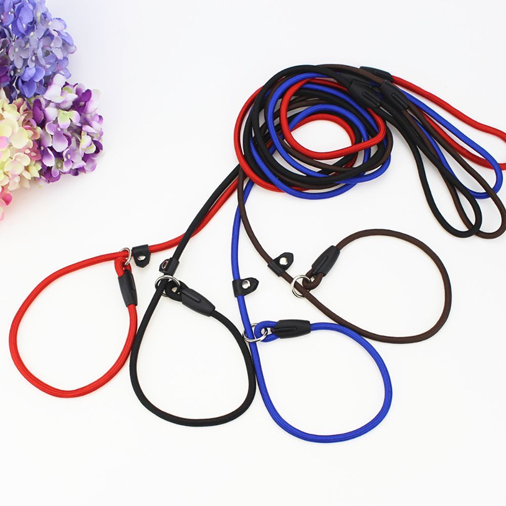 Nylon Pet Chain Leash Collar