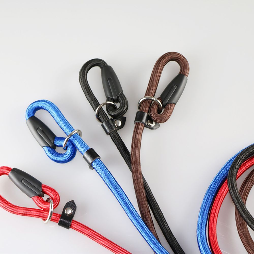 Nylon Pet Chain Leash Collar