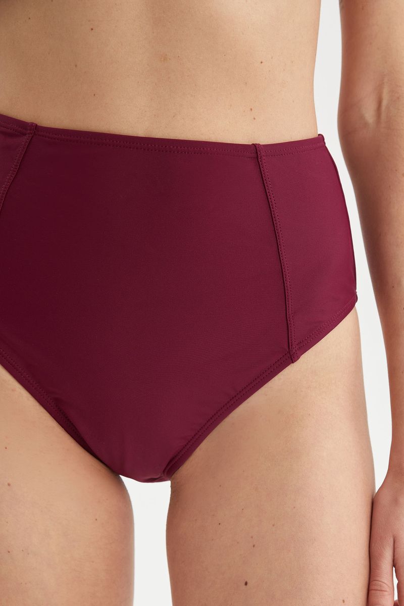 Woman Regular Fit Bikini Bottom - Purple