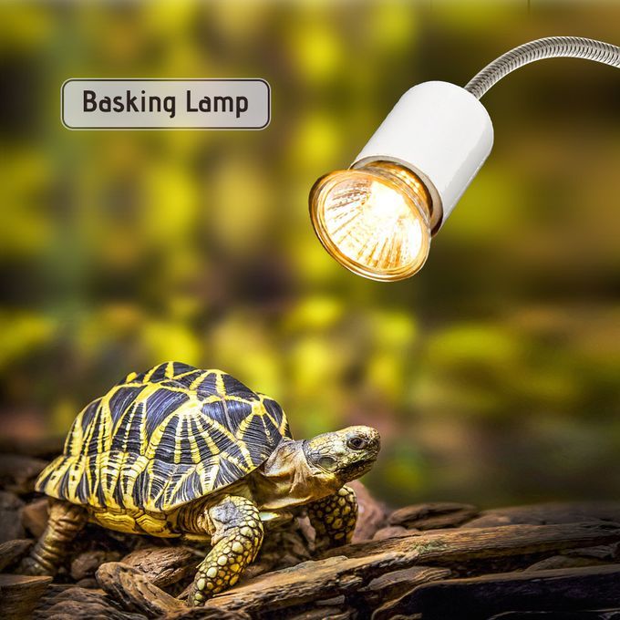 25W Halogen Heat Lamp UVA UVB Basking Lamp Heater Light -US Plug