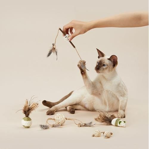5pc/set Mutian Polygonum Cat Toys Cat Supplies Kitten Molars Biting Catnip Funny Cat Toy Cat Accessories Natural Material