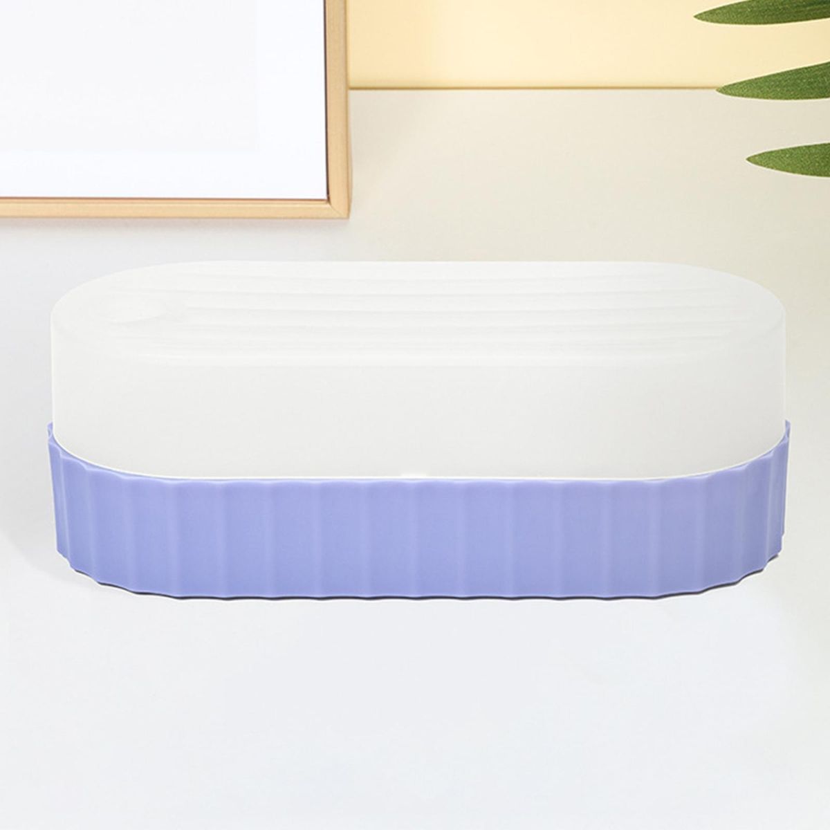 Seed  Trays Sprouting Container  Cats Light Violet