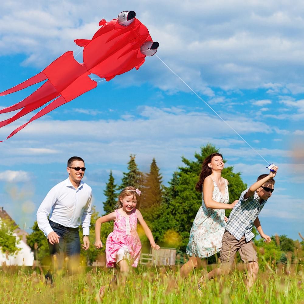 3D Kite for Kids and Adults Huge Frameless Soft Parafoil Giant Kite with 30m String for Beach Park Family Trip Outdoor Games