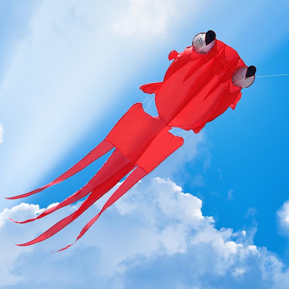 3D Kite for Kids and Adults Huge Frameless Soft Parafoil Giant Kite with 30m String for Beach Park Family Trip Outdoor Games